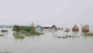 Flood damages crops worth TK 107cr in Jamalpur