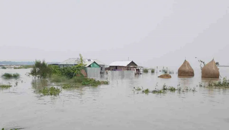 Flood damages crops worth TK 107cr in Jamalpur