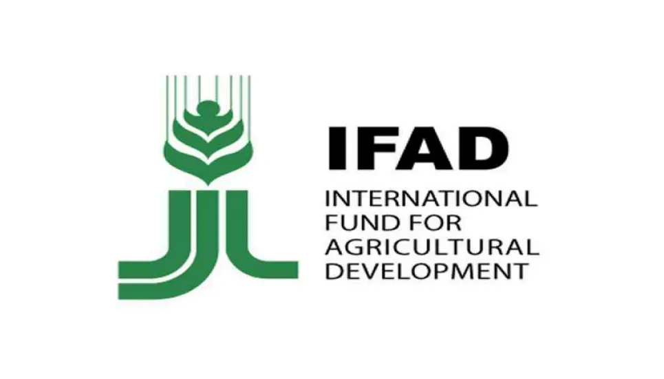 Global food systems must be changed: IFAD