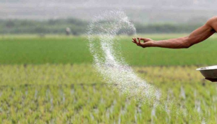 Govt to import 1.20 lakh tonnes fertilizer