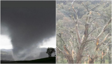 Tornado damages Australian homes, power lines
