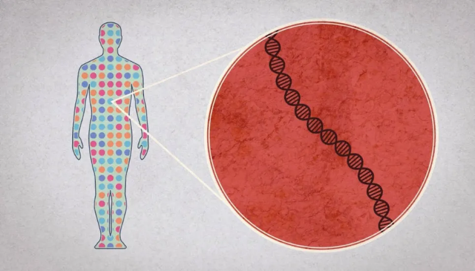 Scientists Publish The First Complete Human Genome The Business Post