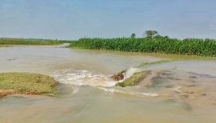 Sunamganj farmers fear crops loss as floodwater enters haors