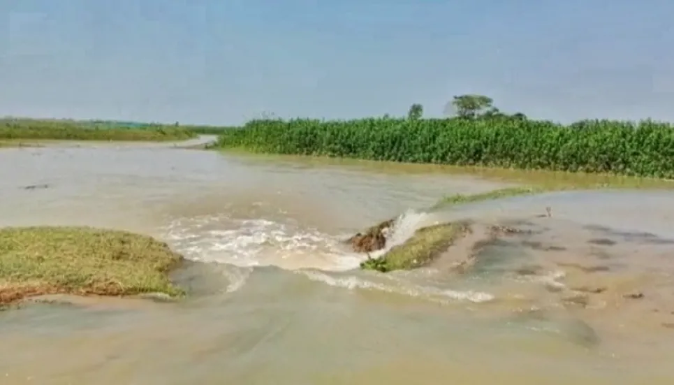 Sunamganj farmers fear crops loss as floodwater enters haors