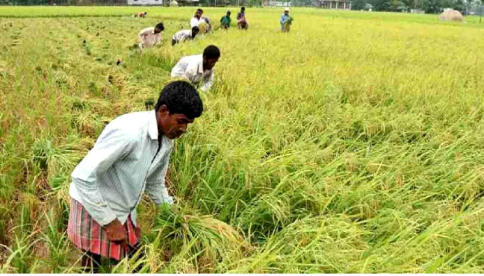 28,000 Gopalganj farmers get incentives
