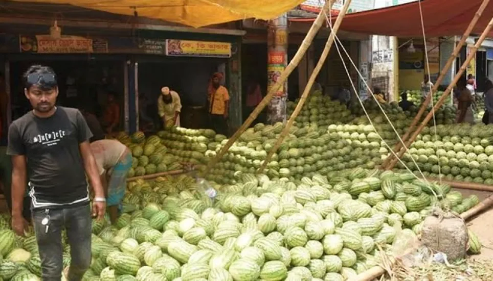 Bumper yield brings smile to watermelon growers in Khulna