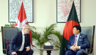 Momen urges Denmark to raise Rohingya issue at UNSC