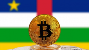 Central African Republic adopts bitcoin as an official currency