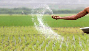 Urea price up by Tk 6 per kg