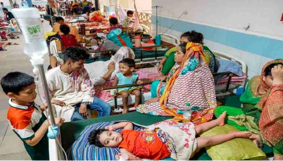 Dengue: 87 new patients hospitalised in 24hrs