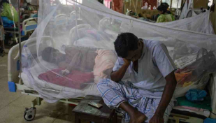 Dengue death toll rises to 12 as 2 more die