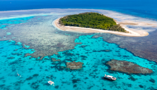 Great Barrier Reef sees fragile coral comeback