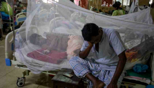 Dengue: 54 new cases reported in 24hrs
