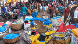 With Hilsa catch declining, Bagerhat fishermen stare at penury