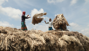 In Pictures: The golden glory of the 200-yr-old jute market