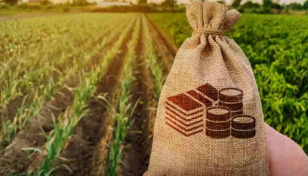 IFC, Singapore’s Agrocorp partner to improve food security in Bangladesh