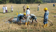 Govt to dig 7 new gas wells in Sylhet