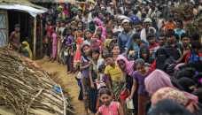 EU hasn't forgotten Rohingyas: Gilmore