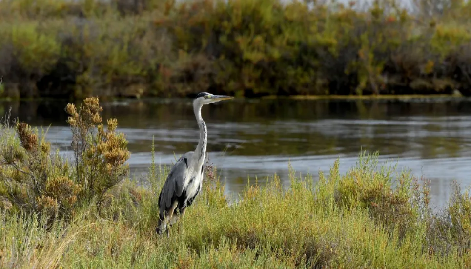 Countries agree historic deal to protect nature