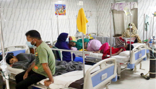 Dengue cases surge, 46 hospitalised in 24hrs