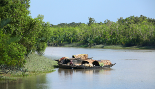 RAB launches special drive in Sundarbans