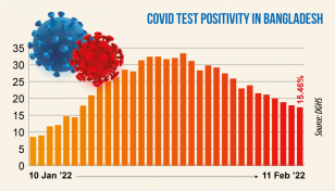 Covid: Daily positivity rate drops to 15.46%