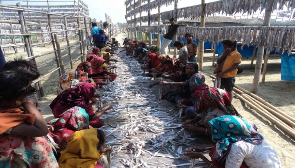 Cox’s Bazar to get Int’l standard dry fish industry: Rezaul