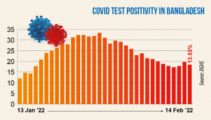 Covid: Daily positivity rate drops to 13.53%