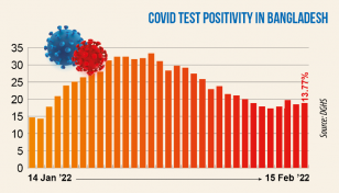 Covid: Daily positivity rate at 13.77%