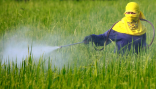 Huge DDT pesticide stockpile being removed from Ctg