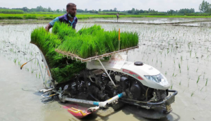 DAE launches rice seedling transplanter machine in Nageshwari