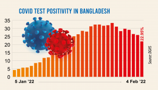 Covid: Daily positivity rate drops to 22.95%