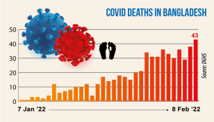 Daily Covid deaths reach 43