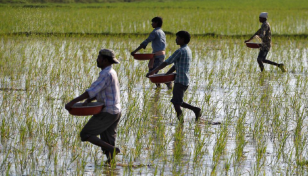 India plans over $40 billion for food, fertiliser subsidy for 2022/23