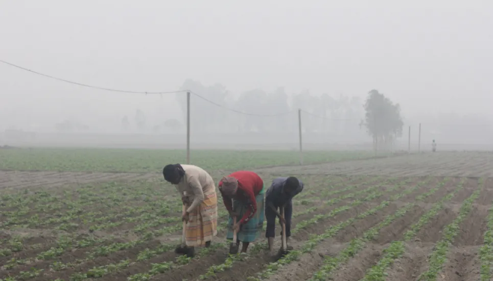 People shiver as cold wave persists in Bangladesh 