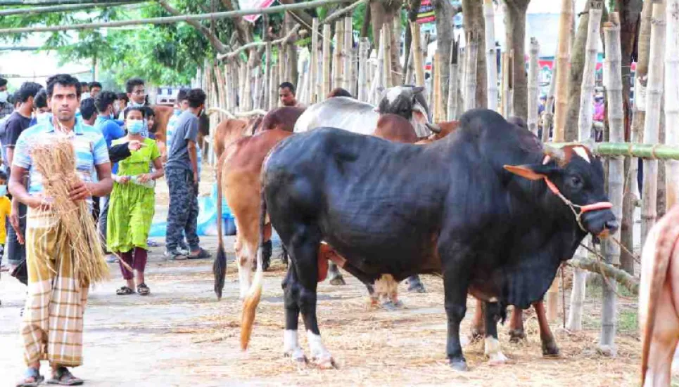 No roadside cattle market this year: Rezaul