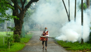 Dengue: 32 patients hospitalised in Dhaka in 24hrs