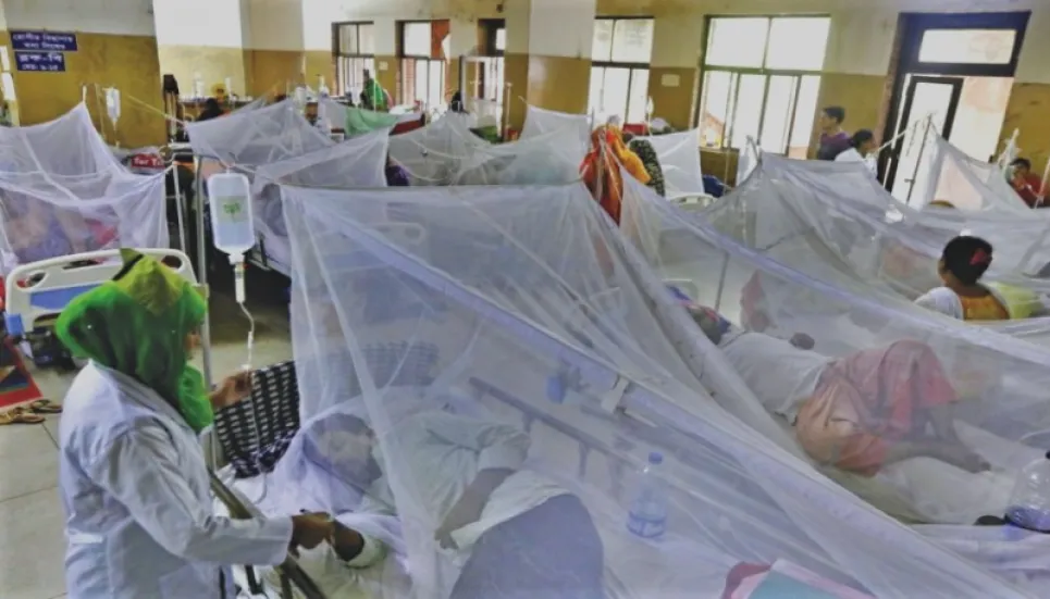 Dengue: 31 new patients hospitalised in 24hrs