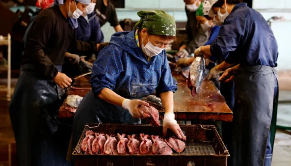 Fatty 'katsuo' fish may foreshadow climate change, threat to Japan's sushi