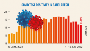 Covid-19: Daily infection rate at 11.55%