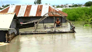 Floods wash away crops and hopes in Kurigram