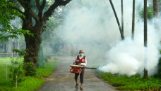 Dengue: Four more die, 606 hospitalised in 24hrs