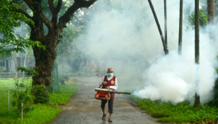 Dengue: One more dies, 498 hospitalised in 24hrs