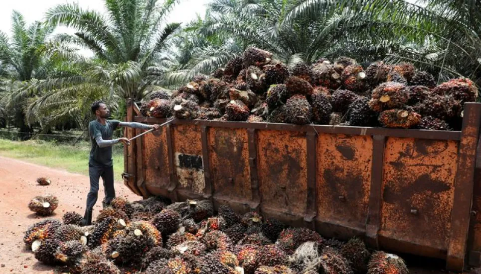 Malaysian palm oil farmers face labour crunch