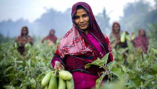 Women’s contribution to rural agro economy on the rise