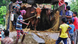 No cattle market on roads and highways: Quader