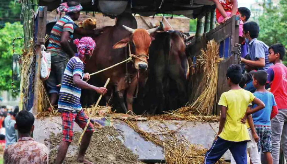 No Cattle Market On Roads And Highways: Quader - The Business Post