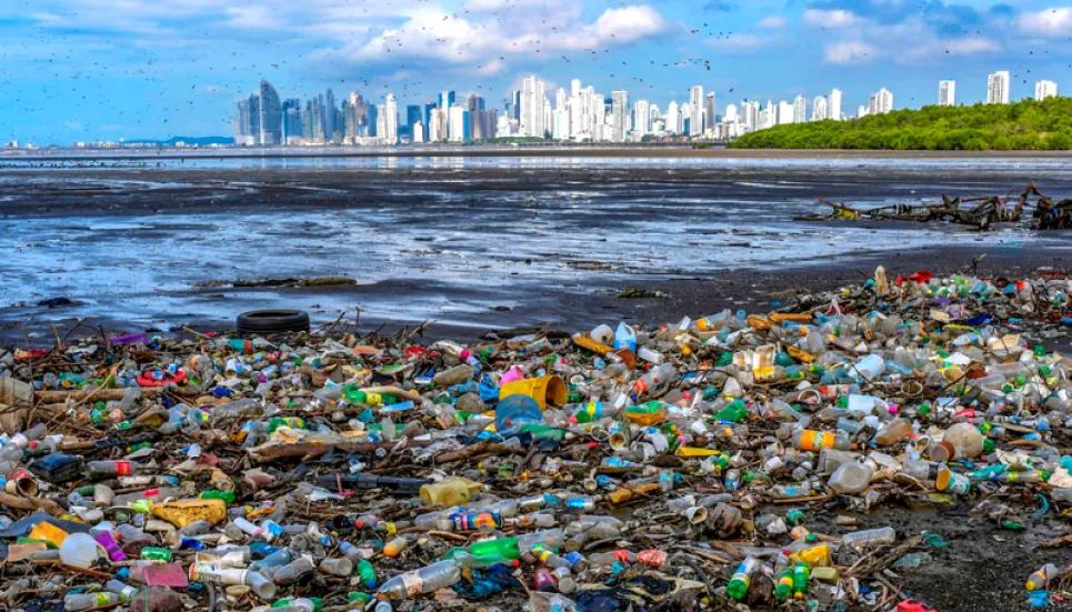 Coming years 'critical' to slash plastic pollution