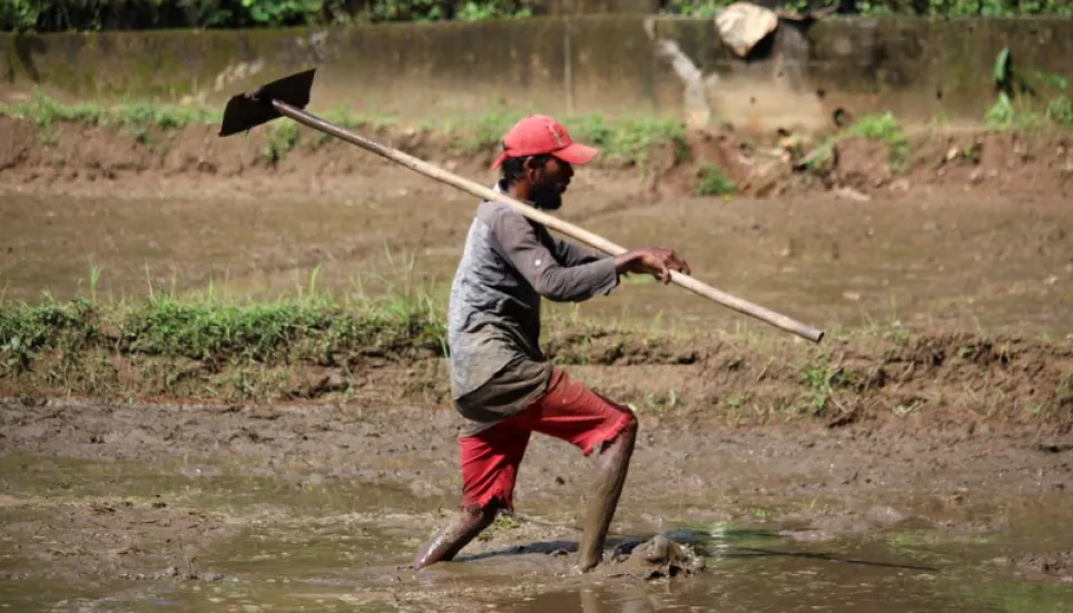 Sri Lanka gives public workers extra day off to grow food