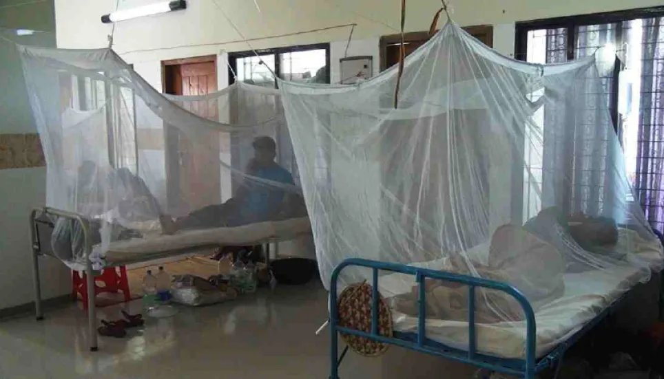 Dengue cases keep rising: 29 more hospitalised in 24 hrs